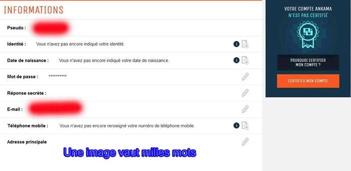 Compte Dofus 200 Stuff À VENDRE! - FR